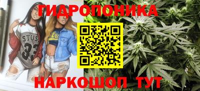 первитин Камышлов