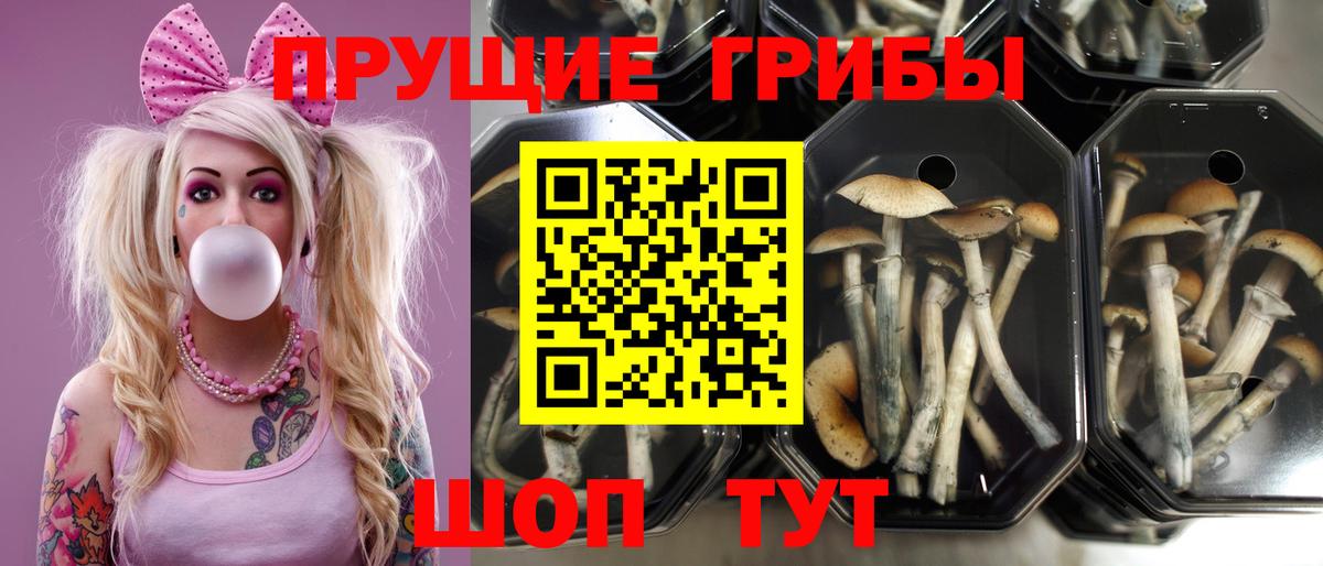 Галлюциногенные грибы ЛСД Учалы