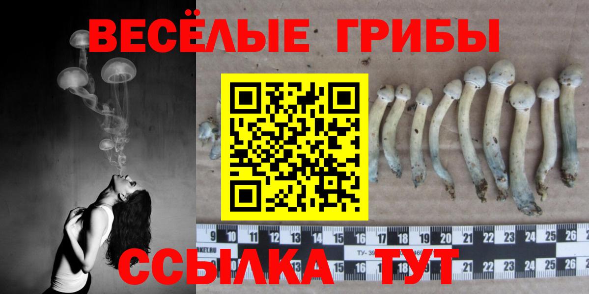 Галлюциногенные грибы MAGIC MUSHROOMS  магазин продажи   Учалы  Вход с VPN 